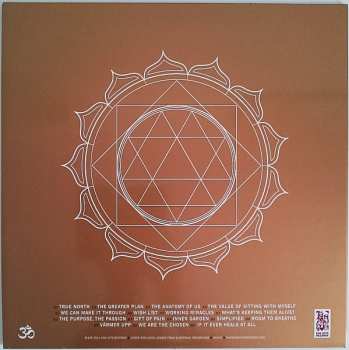 LP Shelter: The Purpose, The Passion LTD | PIC