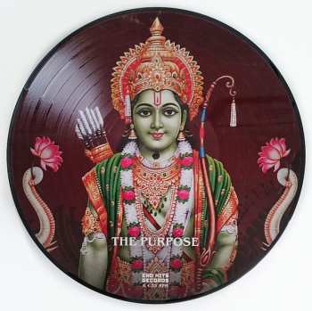 LP Shelter: The Purpose, The Passion LTD | PIC