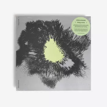 Shida Shahabi: Living Circle
