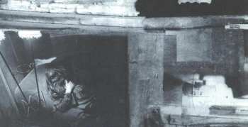 CD Shipping News: Three-Four