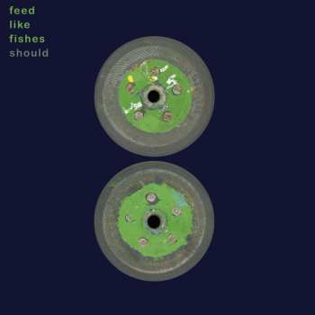 CD Should: Feed Like Fishes