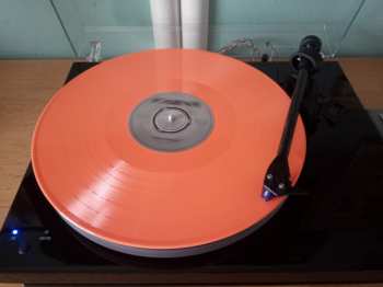 8LP/Caja Showaddywaddy: The Studio LP Collection 1974 - 1983 LTD | CLR