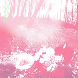 CD Shower Curtain: Words From A Wishing Well