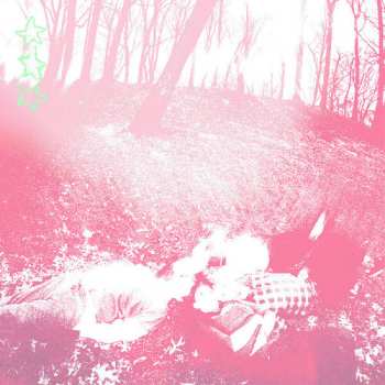 LP Shower Curtain: Words From A Wishing Well