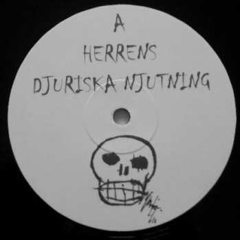 LP Siebensünden: Teratologen