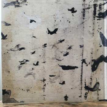2LP/EP Sigur Rós: Takk... DLX