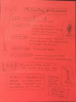 LP Silver Jews: Early Times