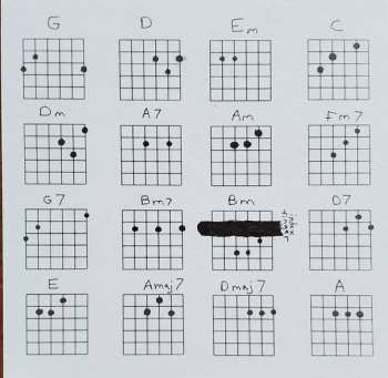 LP Silver Jews: Lookout Mountain, Lookout Sea