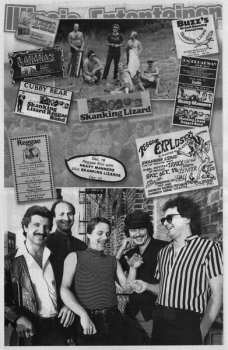 LP Skanking Lizard: Original Chicago Reggae 1978 - 1996