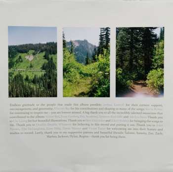 LP Skirts: Great Big Wild Oak CLR