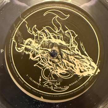 2LP Sleep Token: This Place Will Become Your Tomb CLR | LTD