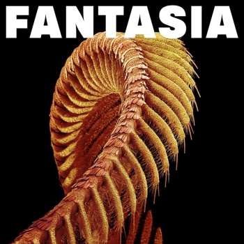 Album Slift: Fantasia