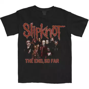 Camiseta The End, So Far Group Photo