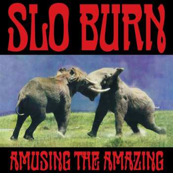 Album Slo Burn: Amusing the Amazing