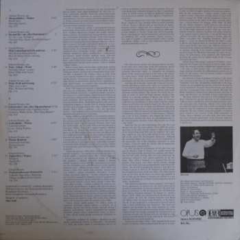 LP Slovak Radio Symphony Orchestra: Strauss Family Waltzes Vol. 3 (90 1)