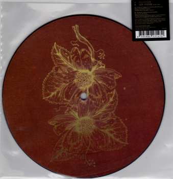 SP Smoke Fairies: Elevator LTD | PIC