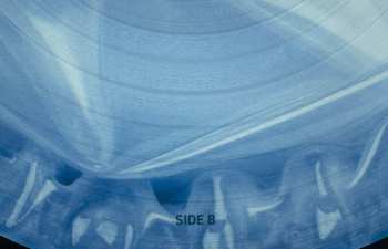 LP Snoop Dogg: Missionary CLR | PIC | LTD