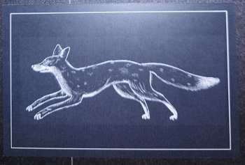 LP Snow Ghosts: The Fell LTD