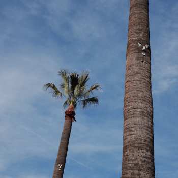 LP So Stressed: Please Let Me Know