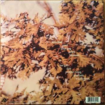 LP Soccer Mommy: Clean