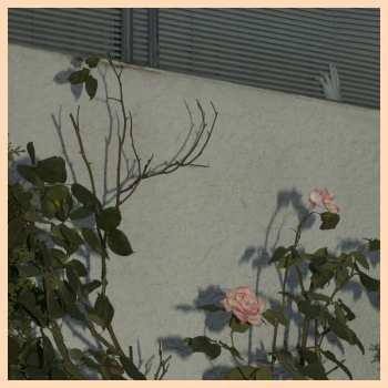 Album Soft Kill: Savior