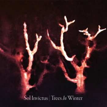 CD Sol Invictus: Trees In Winter DIGI