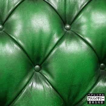 Album Sonnyjim X Camoflauge Monk: Money Green Leather Sofa