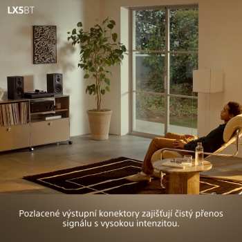 Técnica de áudio Sony PS-LX5BT