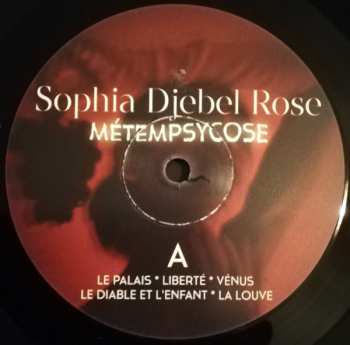 LP Sophia Djebel Rose: Métempsycose
