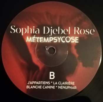 LP Sophia Djebel Rose: Métempsycose