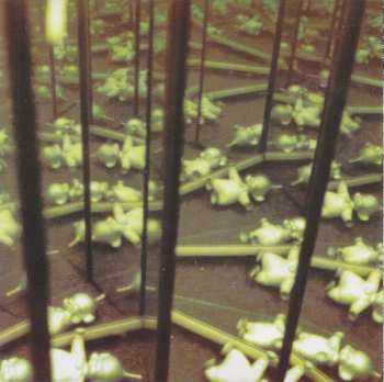 CD Spaceheads: Spaceheads