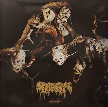 LP Spectral Voice: Sparagmos