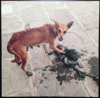 2LP Spectres: Dead LTD