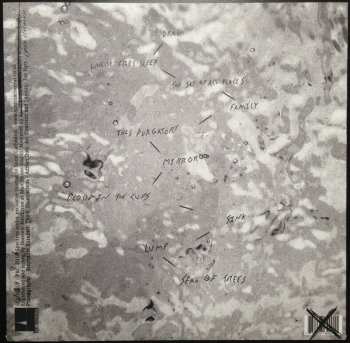 2LP Spectres: Dead LTD