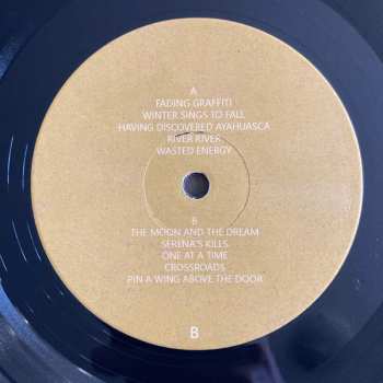 LP Spencer Krug: Fading Graffiti