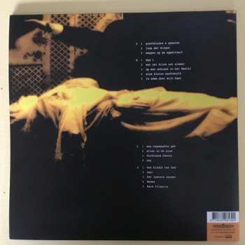 2LP Spinvis: Goochelaars & Geesten