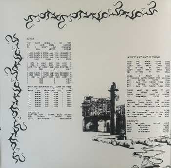 LP Squirrel Flower: Tomorrow's Fire CLR | LTD