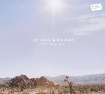 Stee Downes: The Bigger Picture