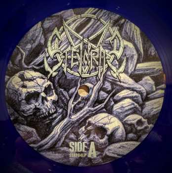 LP Steinras: Steinras CLR | LTD