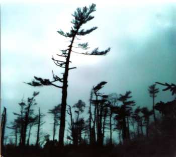 CD Stephen Fearing: Between Hurricanes