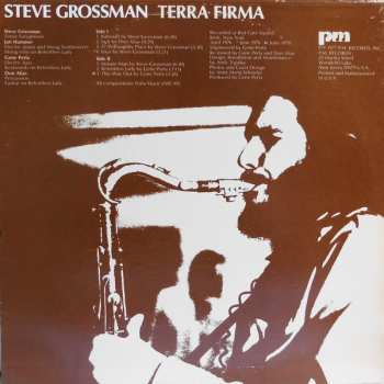 CD Steve Grossman: Terra Firma