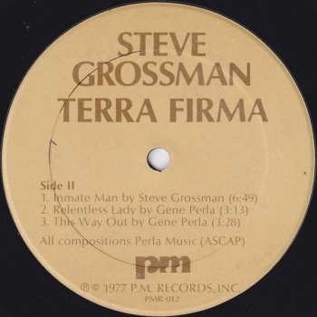 CD Steve Grossman: Terra Firma