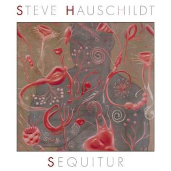Album Steve Hauschildt: Sequitur
