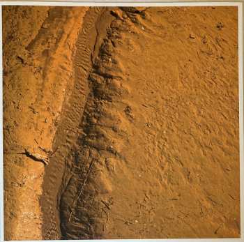 2LP Steve Jansen: Tender Extinction