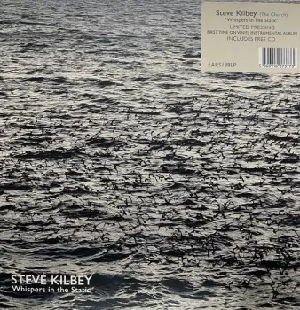 Steve Kilbey: Whispers In The Static