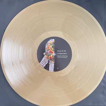 2LP Steve Mason: Brothers & Sisters DLX | CLR