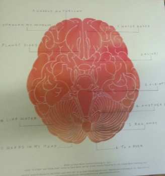 LP Steve Mason: Meet The Humans