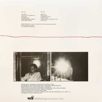 LP Steve Piccolo: Domestic Exile