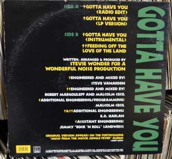 LP Stevie Wonder: Gotta Have You