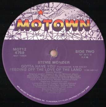 LP Stevie Wonder: Gotta Have You